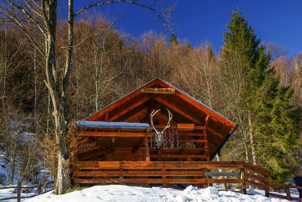 Cabana Casa Craita Zarnesti Quarto foto