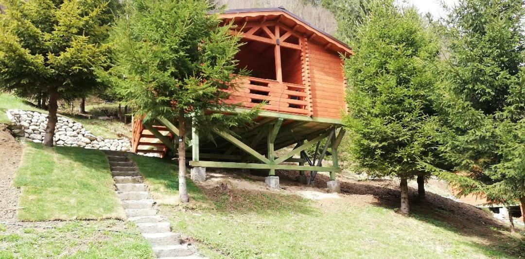 Cabana Casa Craita Zarnesti Exterior foto